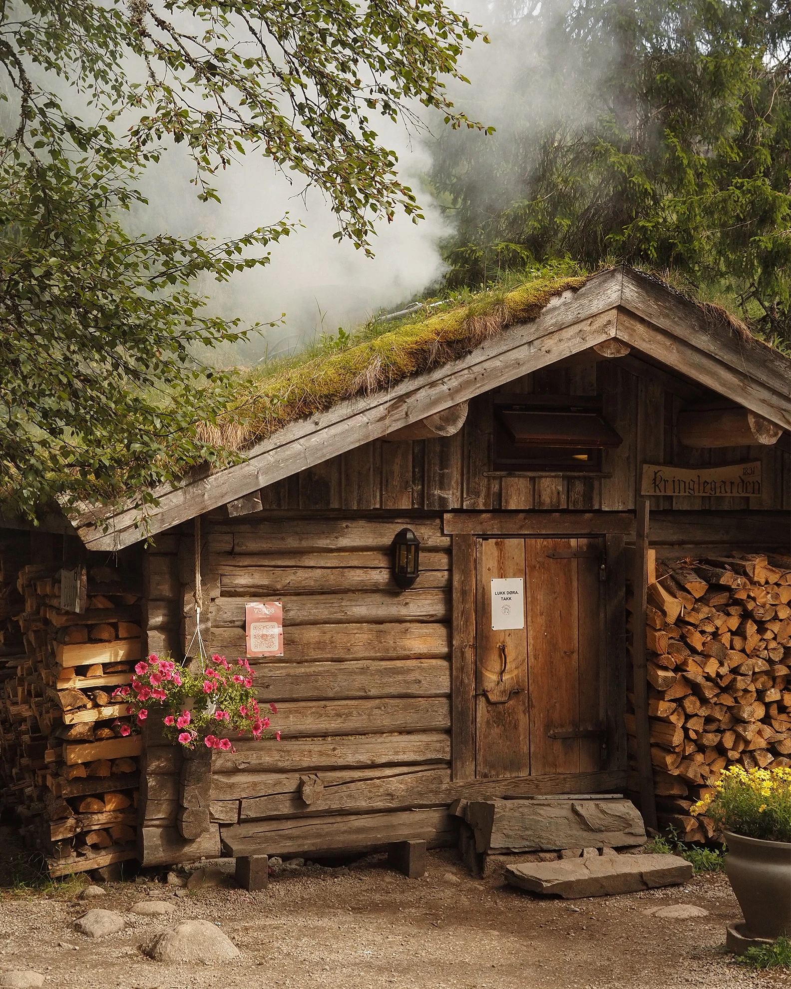 Ein Holzhaus mit bewachsenem Dach in Norwegen